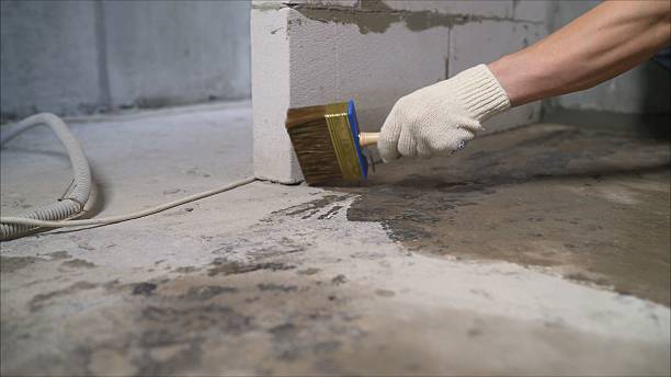 24/7 Emergency Crawl Space Encapsulation experts in Morristown, TN